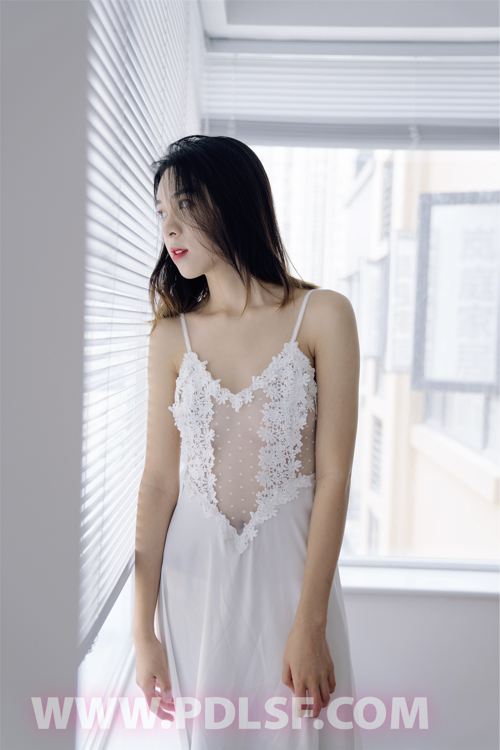 PDL潘多拉 2020.04.02 专辑No.284